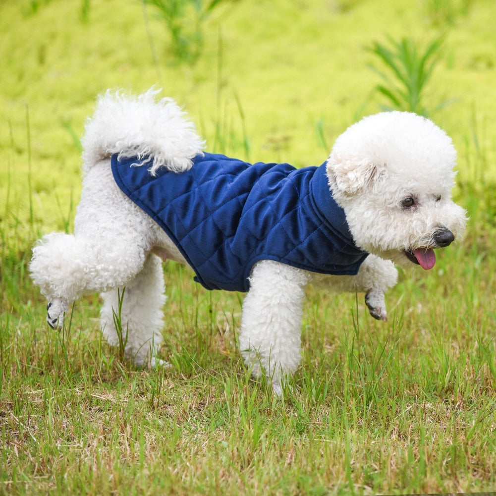 small-dog-winter-cpat-warm-jacket-protection-vest-wickedyo 4